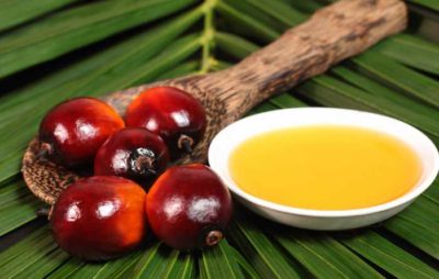 olio di palma pro e contro
