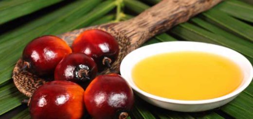olio di palma pro e contro