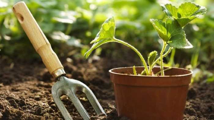 lavori in giardino