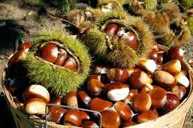 castagne e frutta secca