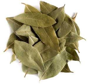 tisana alloro